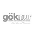 Göknur